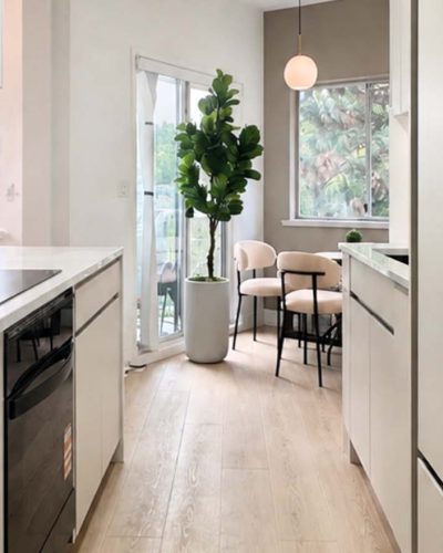 Beautiful penthouse in New westminter