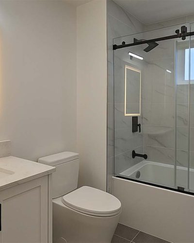 api building renovation-bathroom renovation